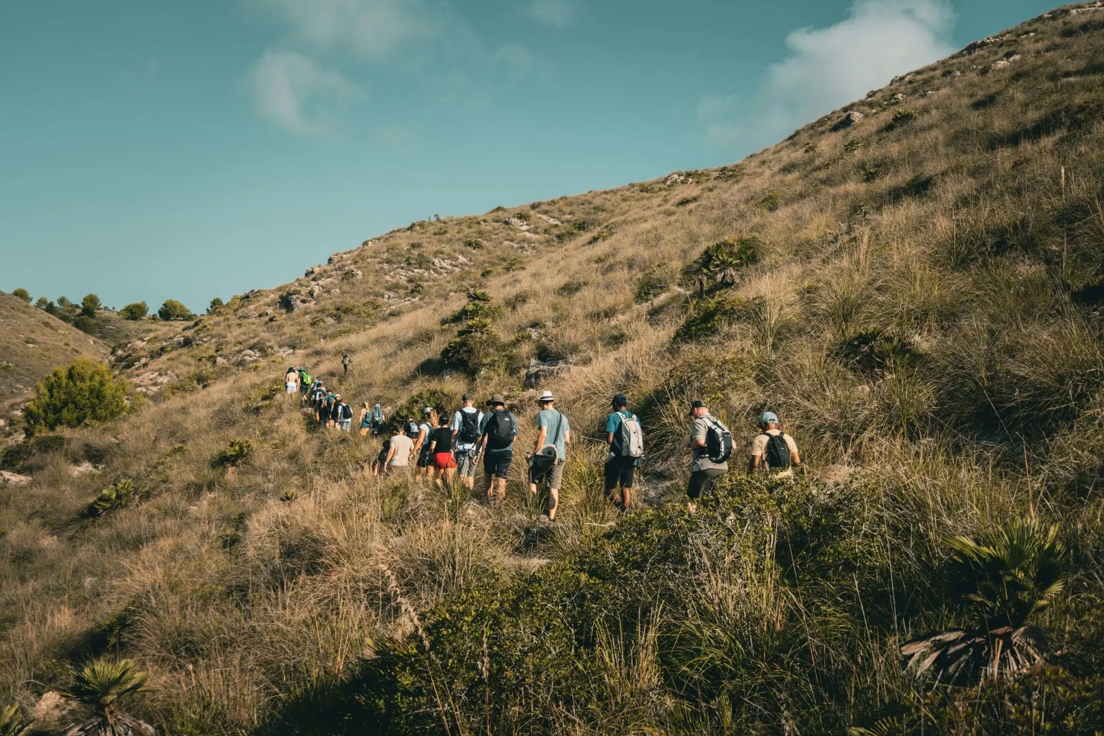 People hiking